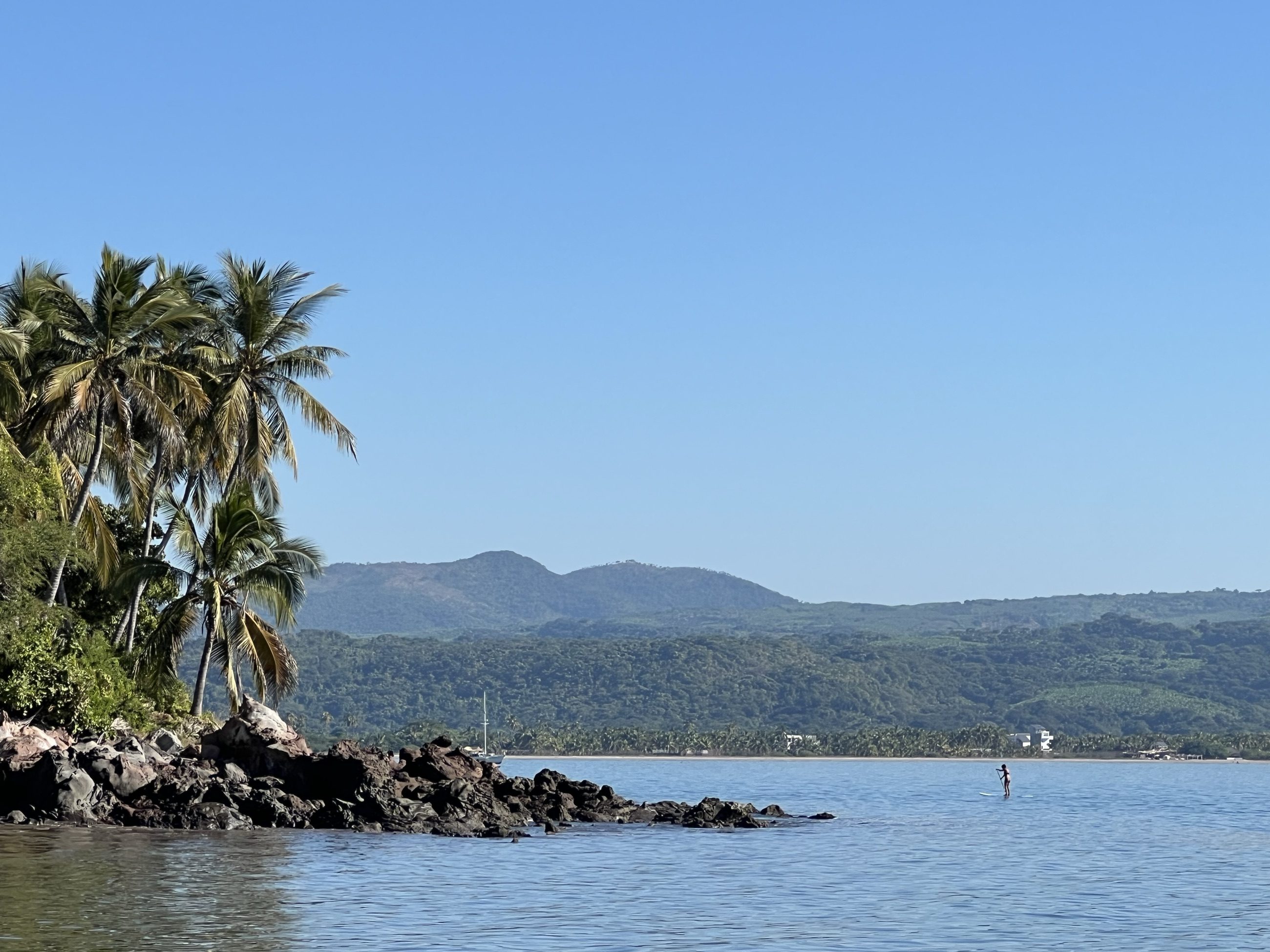 Palmeras y rocas en la orilla del estero, con la sierra al fondo